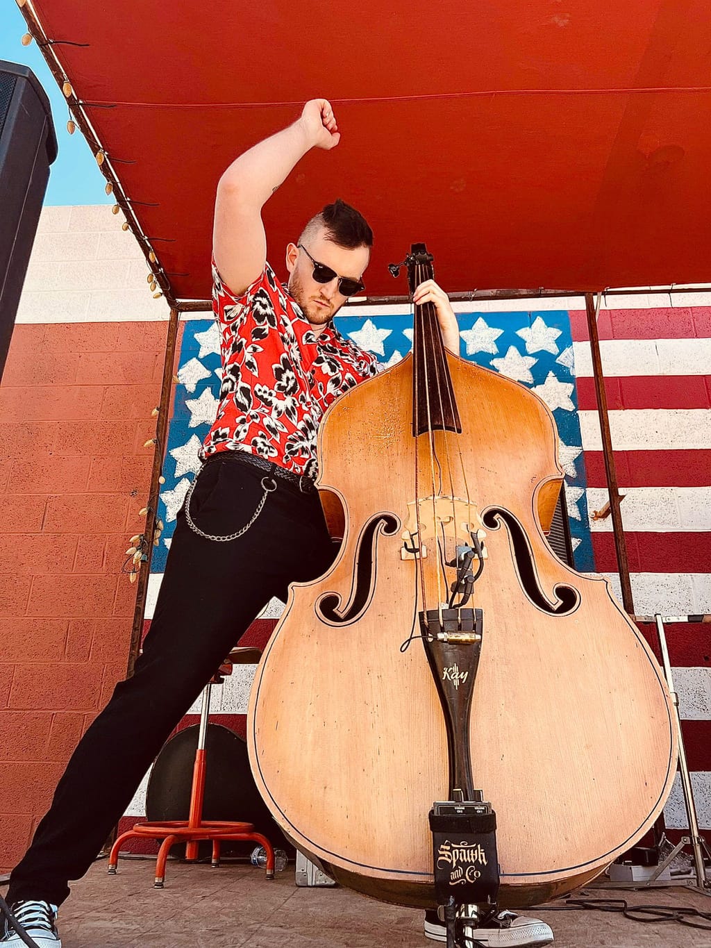 Scott McParland playing double bass on stage with Red Hot Riot in the USA